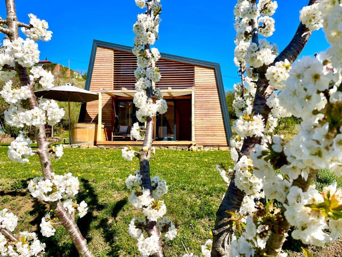 Maxi Sonce, Odprte Vasi Villa Prvacina Exteriör bild